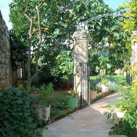 Old House *